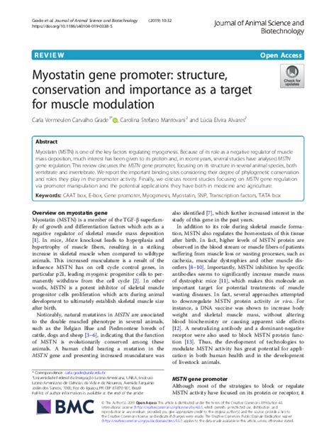 Myostatin gene promoter: structure, conservation and importance。